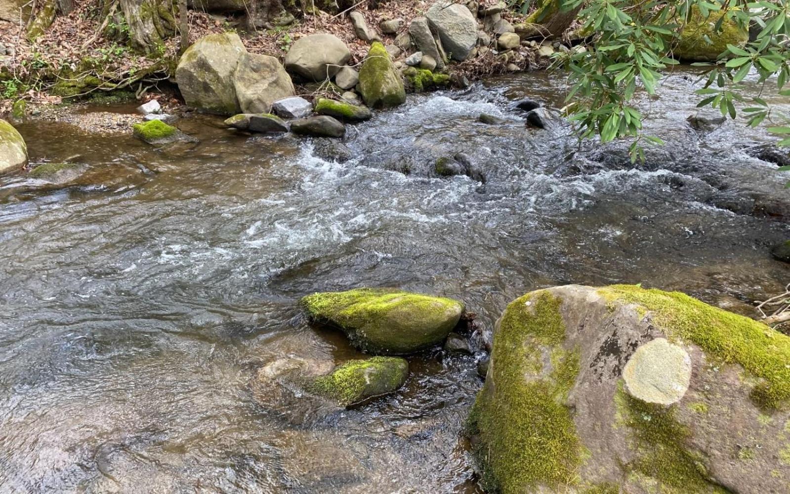 Villa Shady Creek Gatlinburg Exterior foto